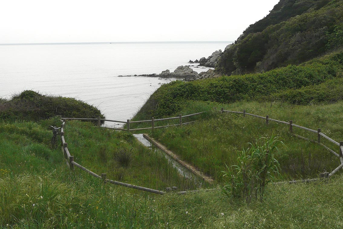 Ripristino di un fontanile a Baratti (Piombino - LI)